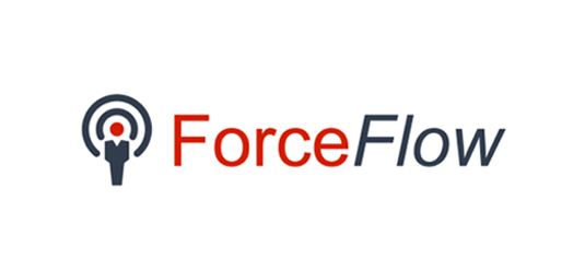 Force Flow angepast-2
